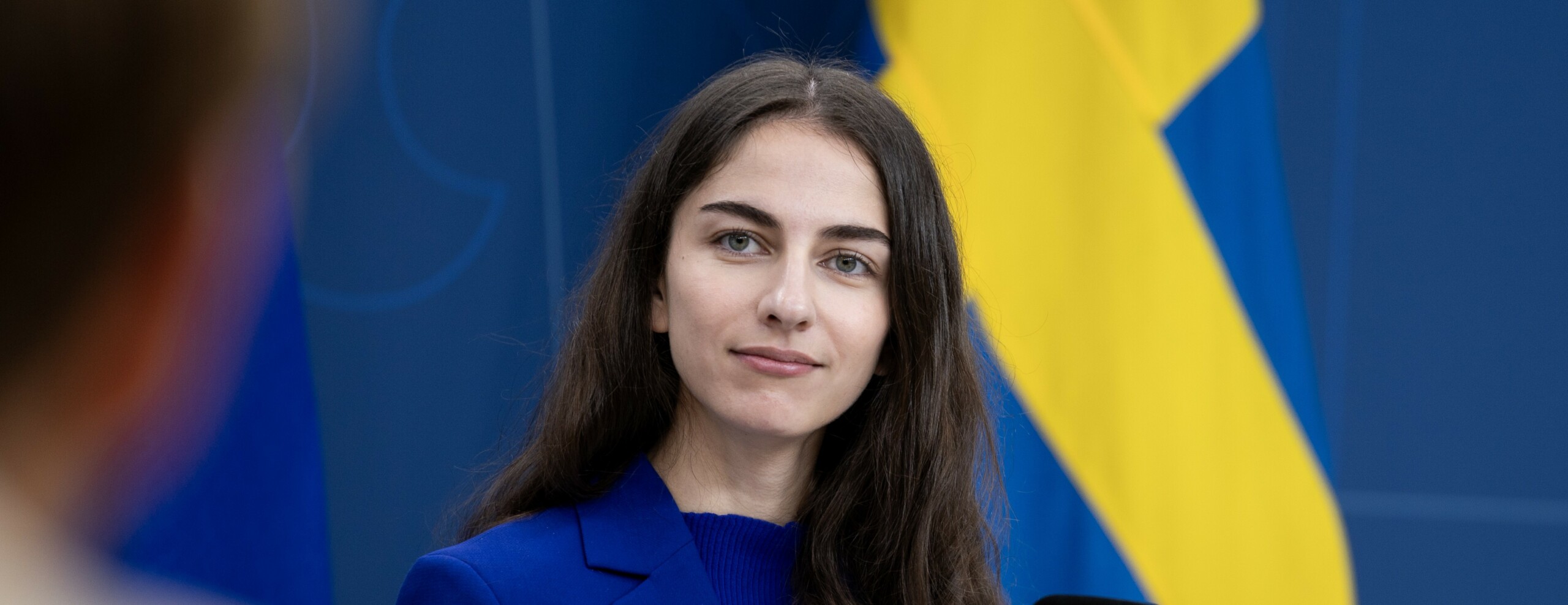 Romina Pourmokhtari: Nu Tar Vi Nästa Steg Mot Ny Kärnkraft I Sverige ...